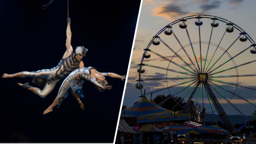 Cirque du Soleil’s “Ovo” and The Great Frederick Fair are two things to do the weekend of Sept. 13-15 in the D.C. area.