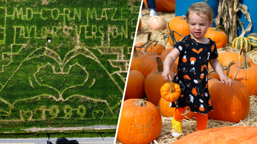 Maryland Corn Maze/Getty Images